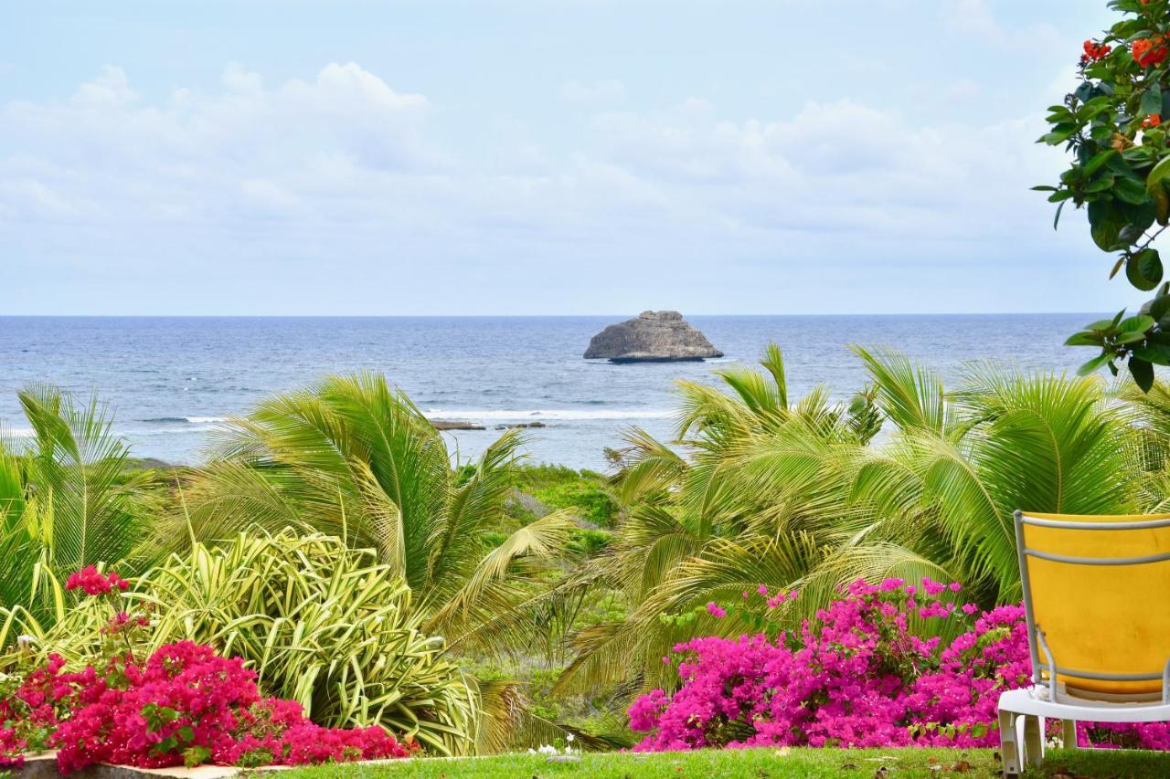 Villa Guadeloupe Saint Francois Acces Mer Piscine Iguana Bay - Villa Zagadi Exterior foto