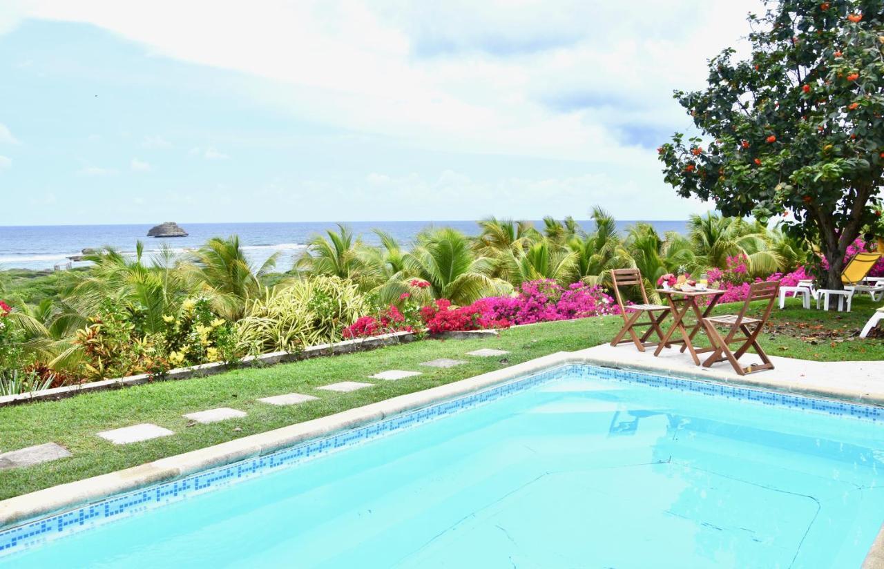 Villa Guadeloupe Saint Francois Acces Mer Piscine Iguana Bay - Villa Zagadi Exterior foto